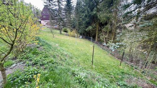 Blick ins Grundstück - 