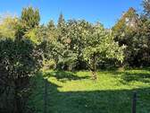 23 EG Blick Garten.jpeg - 