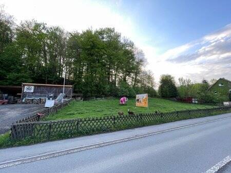 Bild 5 - 