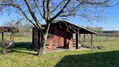 Gartenschuppen - 