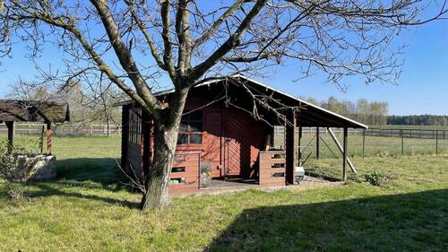 Gartenschuppen - 