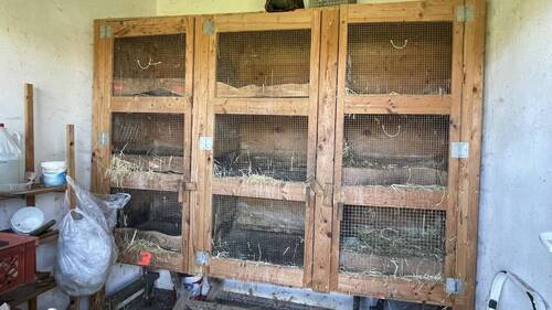 Kaninchenstall - 