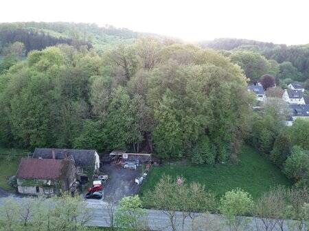 Bild 5 - 