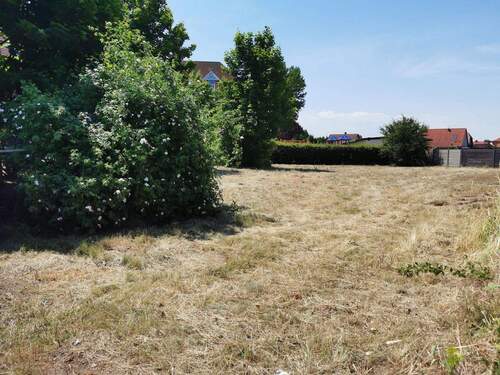 Baugrundstück - 4 Zimmer Doppelhaushälfte in Halberstadt