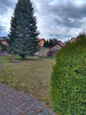 06_IMG_20250407_150314409_HDR.jpg - 