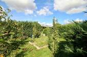 Obstgarten - 