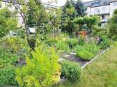 Garten3 - 