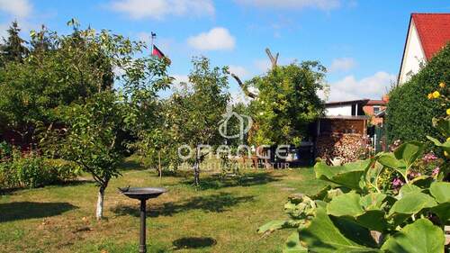 Obstbaumbestand und Beete mit Erntegarantie - 