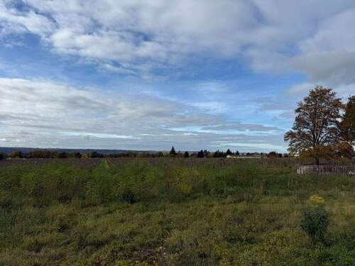 Bild 1 - Baugrundstück in Weinböhla ++ Ruhige Höhenlage - gemächlich an den Weinbergen