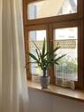 Charme 3 - 