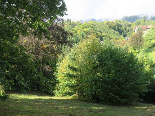 Blick von oben2 - Grundstück in Alpirsbach zum Kaufen