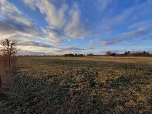 7 Richtung Westen geschaut.jpg - Grundstück zum Kaufen in Ducherow