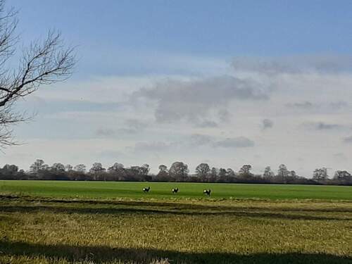 6 Über die Felder geblickt.jpg - 