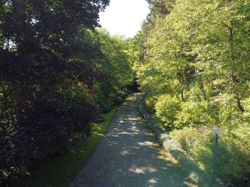 Bild8 - 