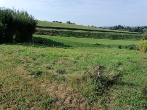 f025016f-a895-4b29-a85d-54548a7bc913 - Sonniges Baugrundstück in idyllischer Lage von Hauzenberg - Ihr Platz für neue Wohnträume