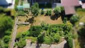 Blick auf den Garten - 