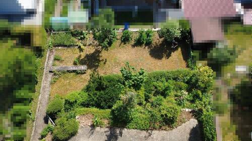 Blick auf den Garten - 