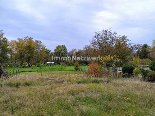Ausblick von der Hausrückseite - 