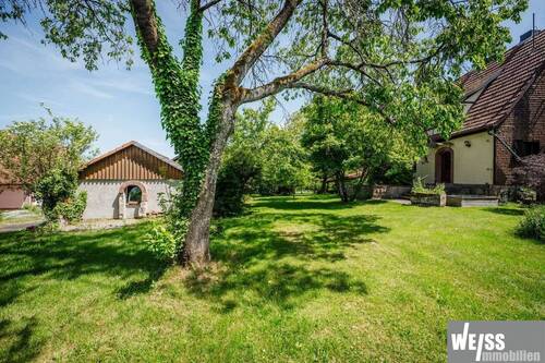 Garten - 