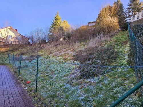 20250119_122423 - Grundstück zum Kaufen in Gedern