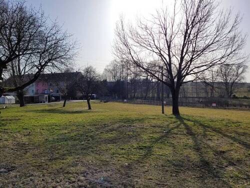 Die Baugrundstücke in der Abendsonne - 