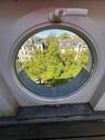 Patio Fenster - 