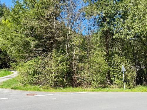 IMG_2604 2.jpeg - Attraktives Eckgrundstück in ruhiger Lage – vielseitig bebaubar in Daleiden-Falkenauel