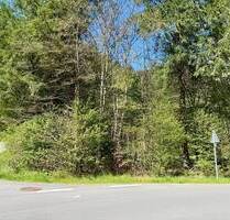 Attraktives Eckgrundstück in ruhiger Lage – vielseitig bebaubar in Daleiden-Falkenauel