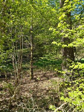 IMG_2605 2.jpeg - Grundstück zum Kaufen in Daleiden