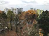 Blick - 