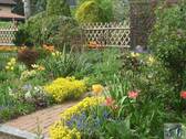 Blumenparadies - 