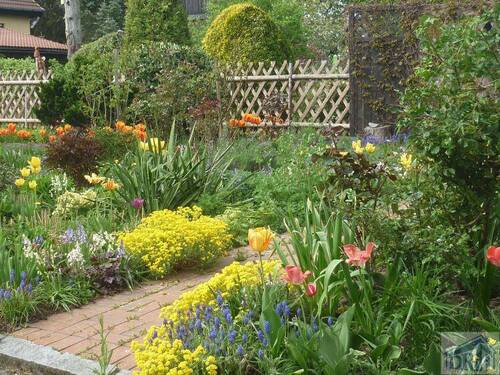 Blumenparadies - 