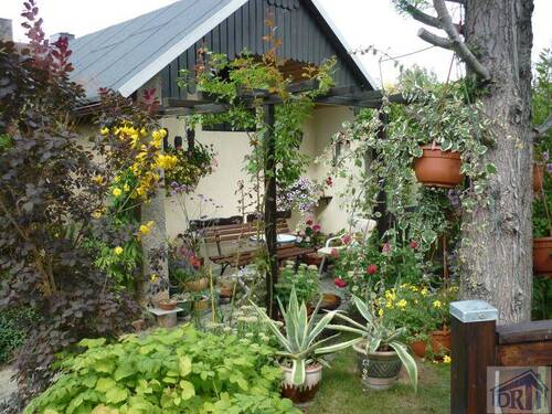 Die Natur vor der Tür! - Viel Platz in Haus und Garten !!! ***sofort beziehbar***