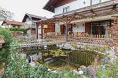 Teich - 