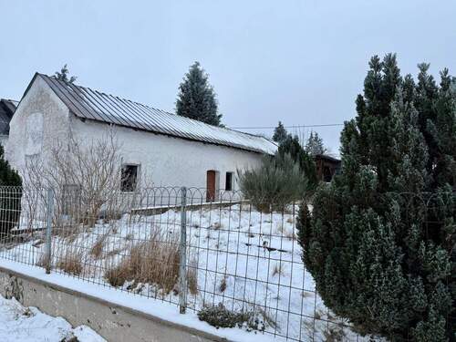 IMG_1615.jpeg - 6 Zimmer Bauernhaus, Landhaus in Dahnen