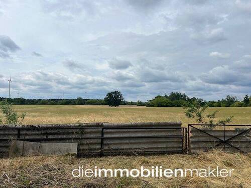 Ausblick - 