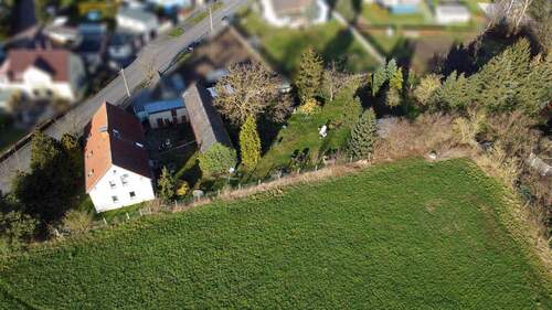 Außenansicht - Einfamilienhaus mit 148,80 m² in Jesewitz zum Kaufen