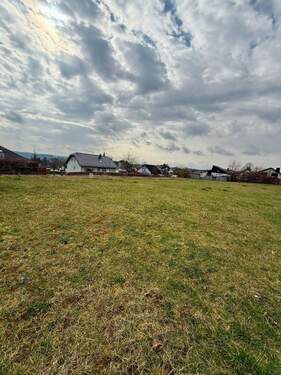 IMG_2222.jpeg - Grundstück in Daleiden zum Kaufen