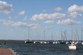 IMG_2833 - 