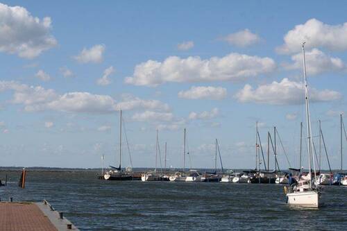 IMG_2833 - 