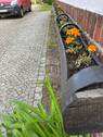 IMG_3120 - 