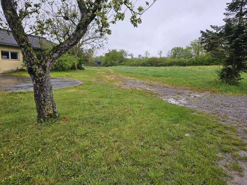 Grundstueck mit Guellegrube.jpg - 