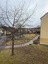 Fensterblick - 