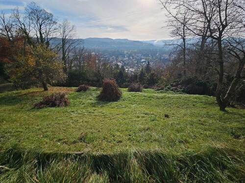 20251112_112158.jpg - Traumhaftes Grundstück über den Dächern von Rudolstadt zu verkaufen!
