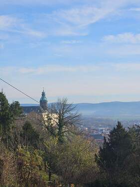 20251112_112235.jpg - 