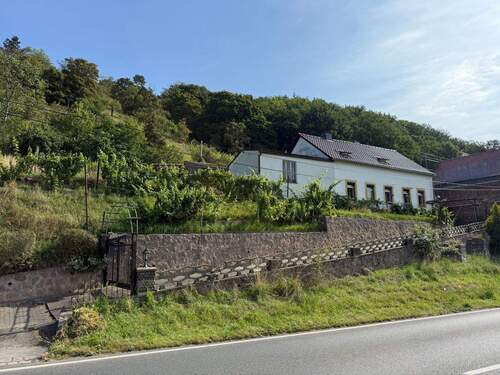 Bild 1 - Großzügiges Hanggrundstück mit Altbestand und herrlichem Elbe Blick
