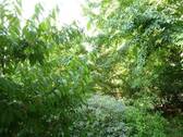 Blick aus den Fenstern - 