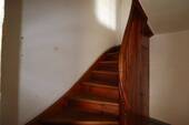 IMG_7747.JPG - 