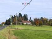 Bild 11 - 