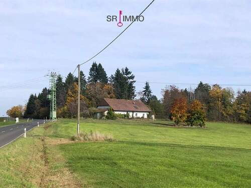 Bild 11 - 